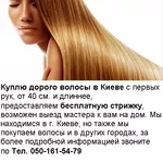Купить волосы в Киеве. 
