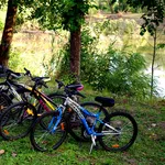 Велопрогулки с базой отдыха Орельский Двор.