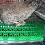 Продам пластиковые полы для кроликов