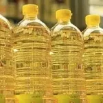 Продаж олії соняшникової,  кукурудзяної,  фритюрної оптом.