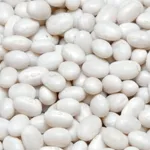 Квасоля оптом від виробника. 20 сортів в асортименті