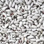 Гуртовий продаж сортової квасолі