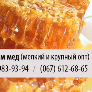 Покупка меда крупным и мелким оптом в Днепропетровске