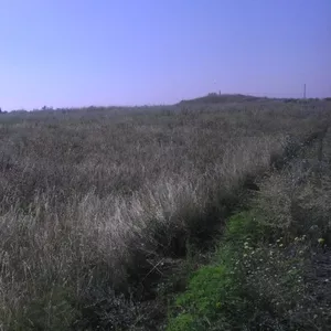 Продам земельный участок на берегу Каховского водохранилища