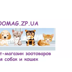 Ветпрепараты для собак и кошек Запорожье Украина недорого