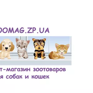 Зоотовары для собак и кошек Запорожье,  Украина недорого