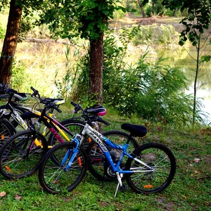 Велопрогулки с базой отдыха Орельский Двор.
