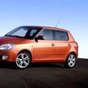 Все запчасти на авто Шкода (Skoda)