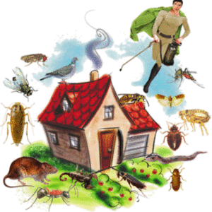 Комплексная защита от насекомых и грызунов Днепропетровск