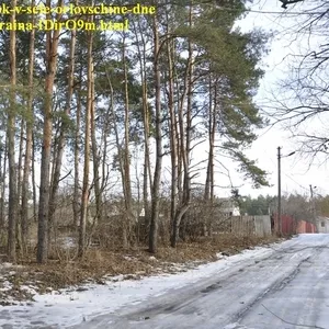 Участки в хвойном и дубовом лесу в Орловщине Новомосковского района