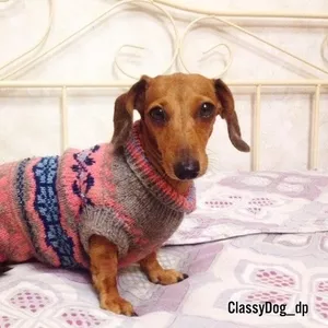 Вязаные свитера для собак ручной работы.