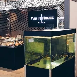 Магазин рыбы и морепродуктов Fish in house в Днепре! 