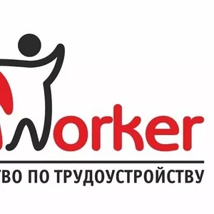 Рабочая виза и трудоустройство в Польше