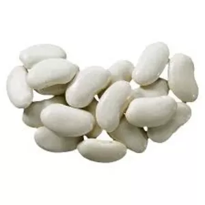 Закупівля квасолі для переробки та консервації