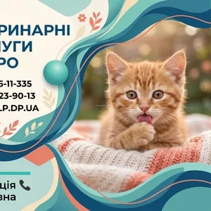 Ветврач на дом Днепр – Осмотр,  Уколы,  Кастрация