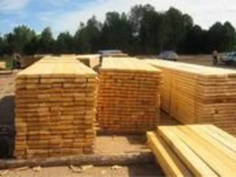 Строительство деревянных домов бань саун беседок 9