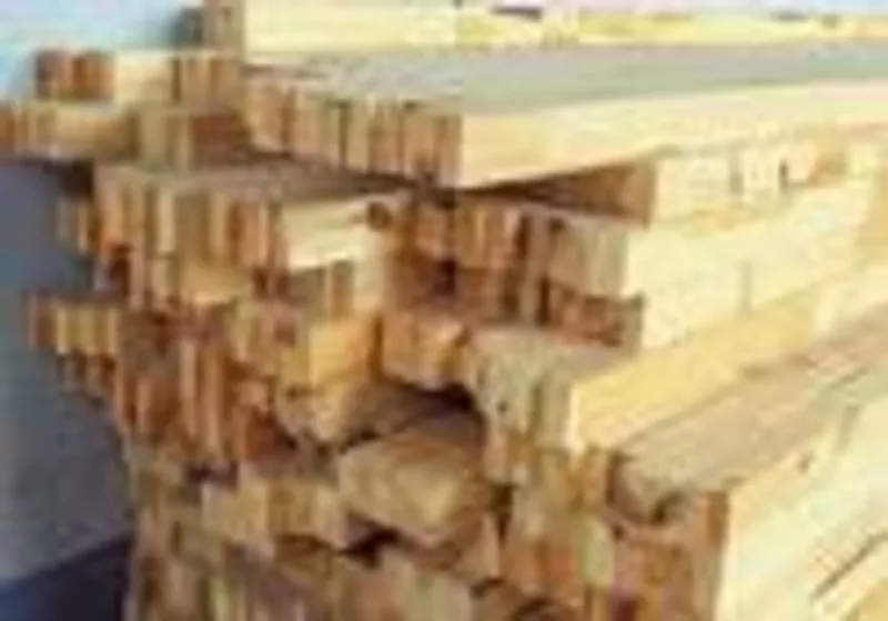 Строительство деревянных домов бань саун беседок 12