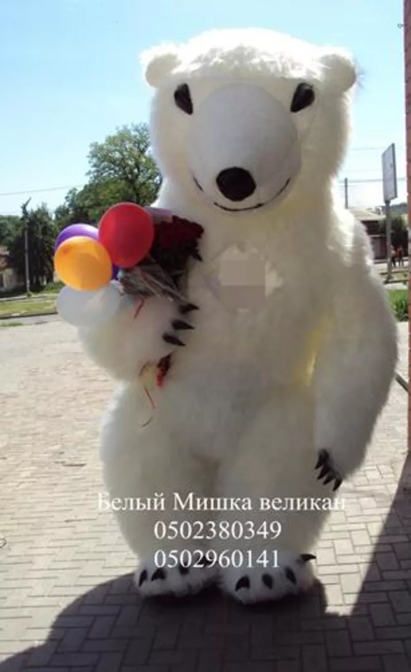 Поздравление с Днем Рождения от Белого Медведя высотой 3м Днепропетровс  2