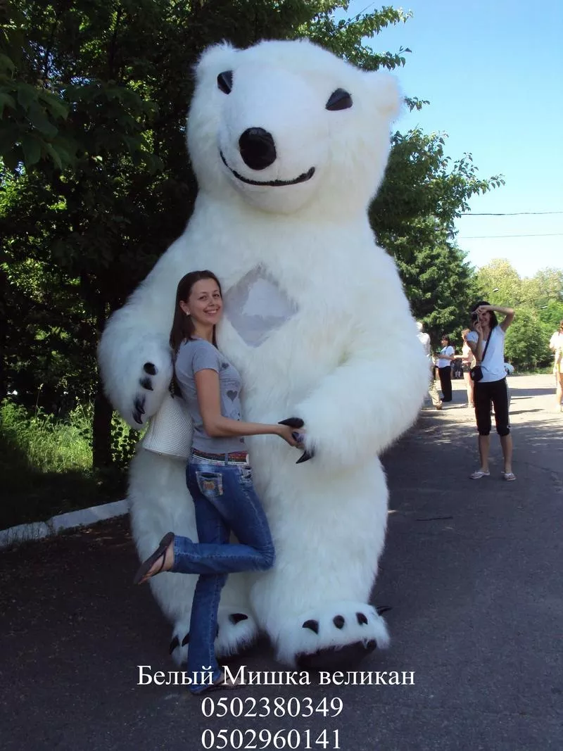 Поздравление с Днем Рождения от Белого Медведя высотой 3м Днепропетровс  4