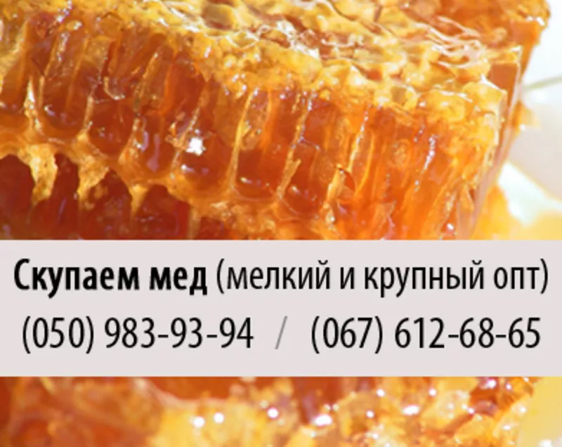 Покупка меда крупным и мелким оптом в Днепропетровске