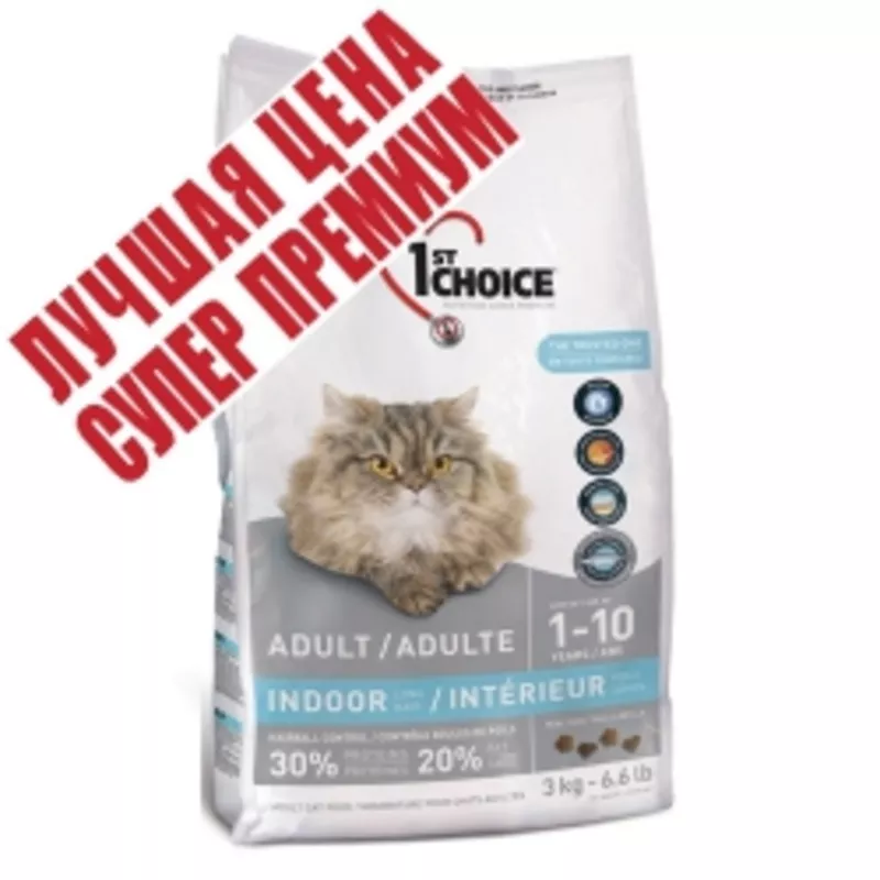 1st Choice  с лососем сухой супер премиум корм для домашних котов