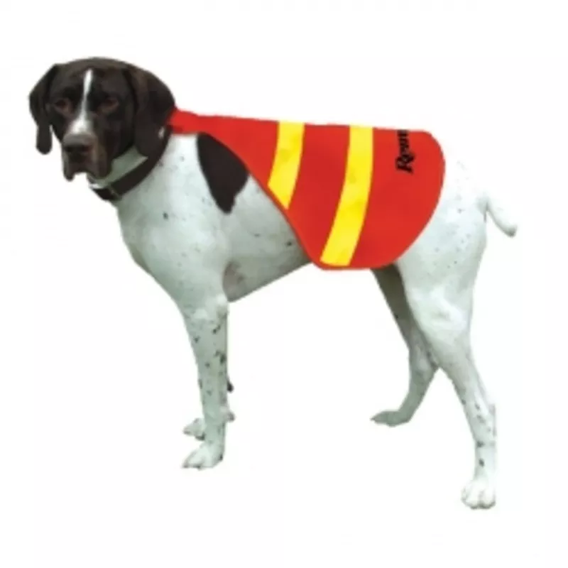 Remington Safety Vest жилет для охотничих собак,  оранжевый