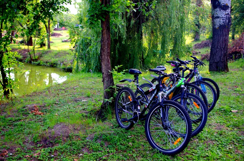 Велопрогулки с базой отдыха Орельский Двор. 3