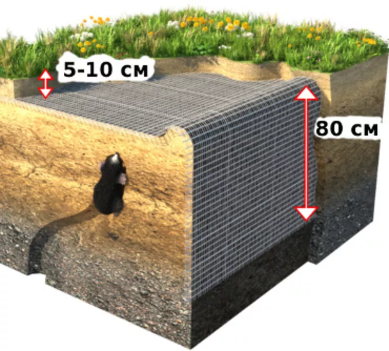 Сетка защита от кротов
