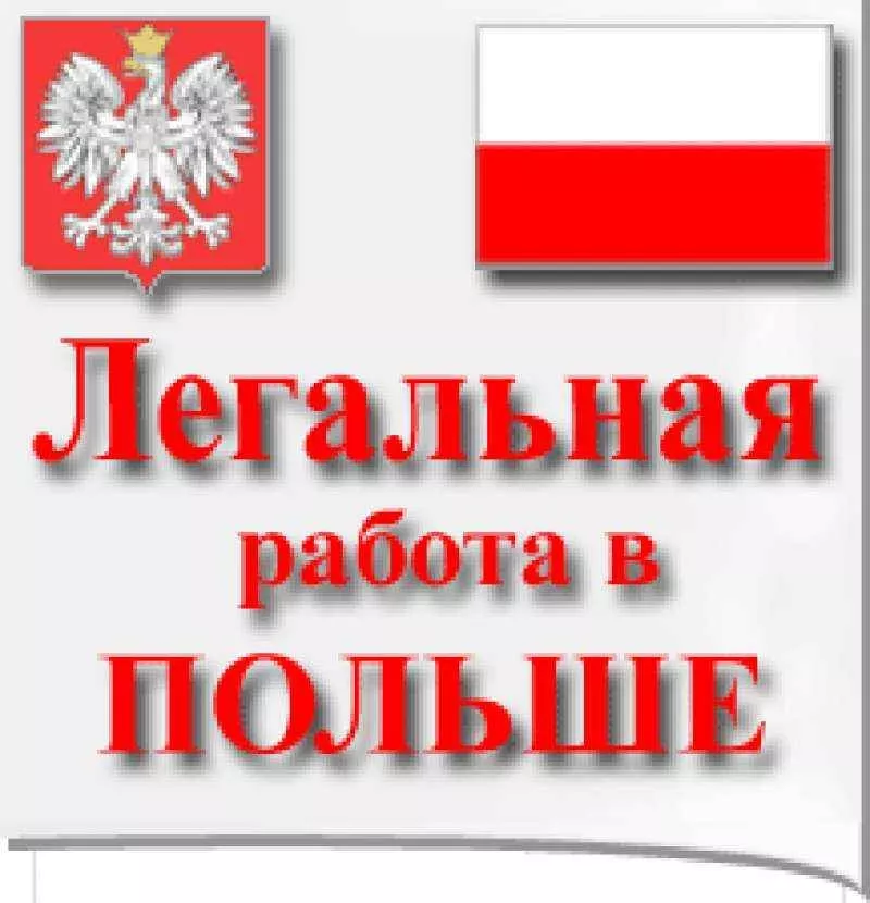 Легальная работа в Польше 6
