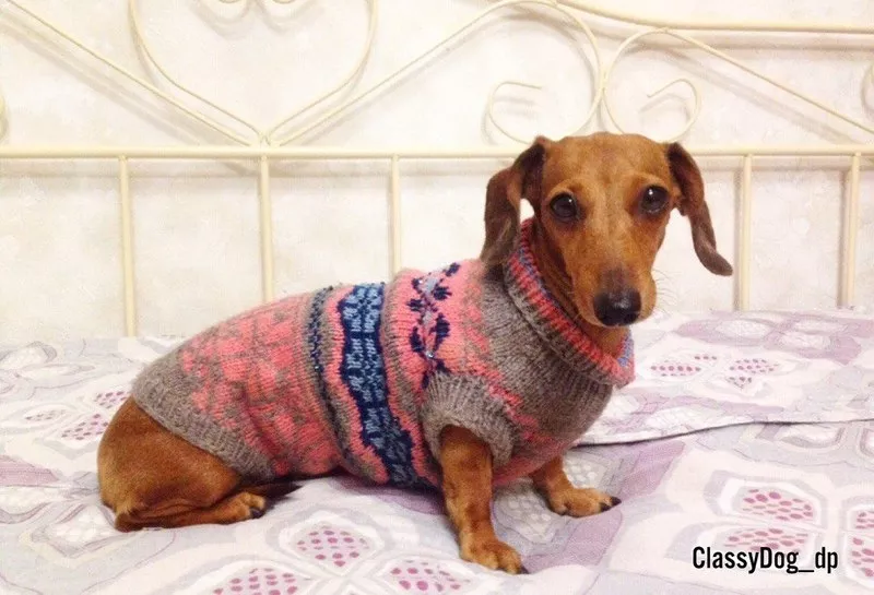 Вязаные свитера для собак ручной работы.