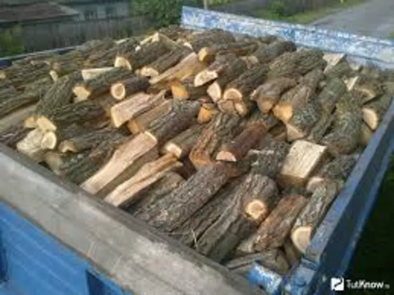 продам дрова 2