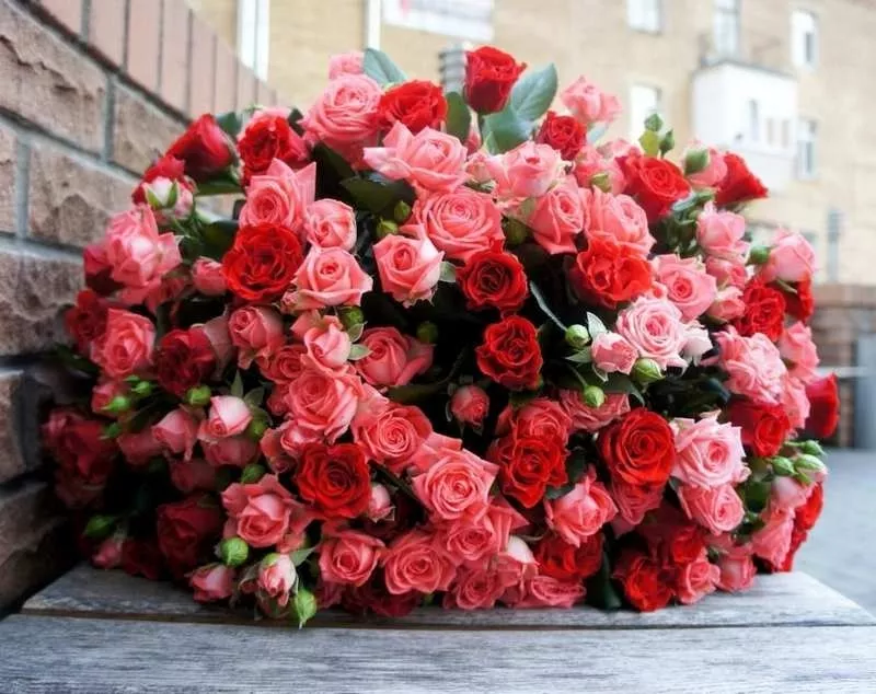 Доставка цветов в Днепропетровске 3