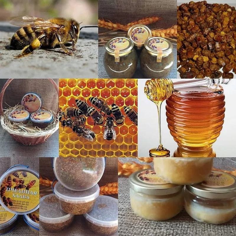 Пчелиная Аптека 4