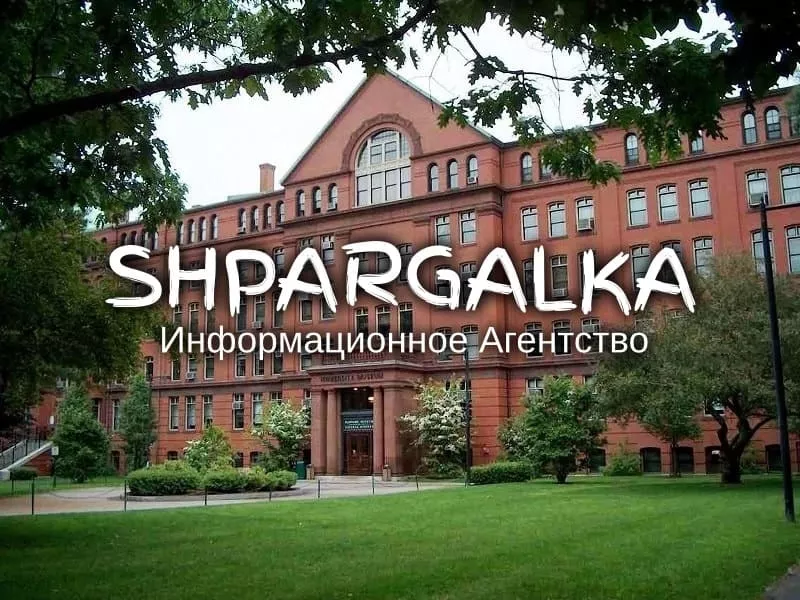 Обзор литературы для ВКР на заказ в Украине