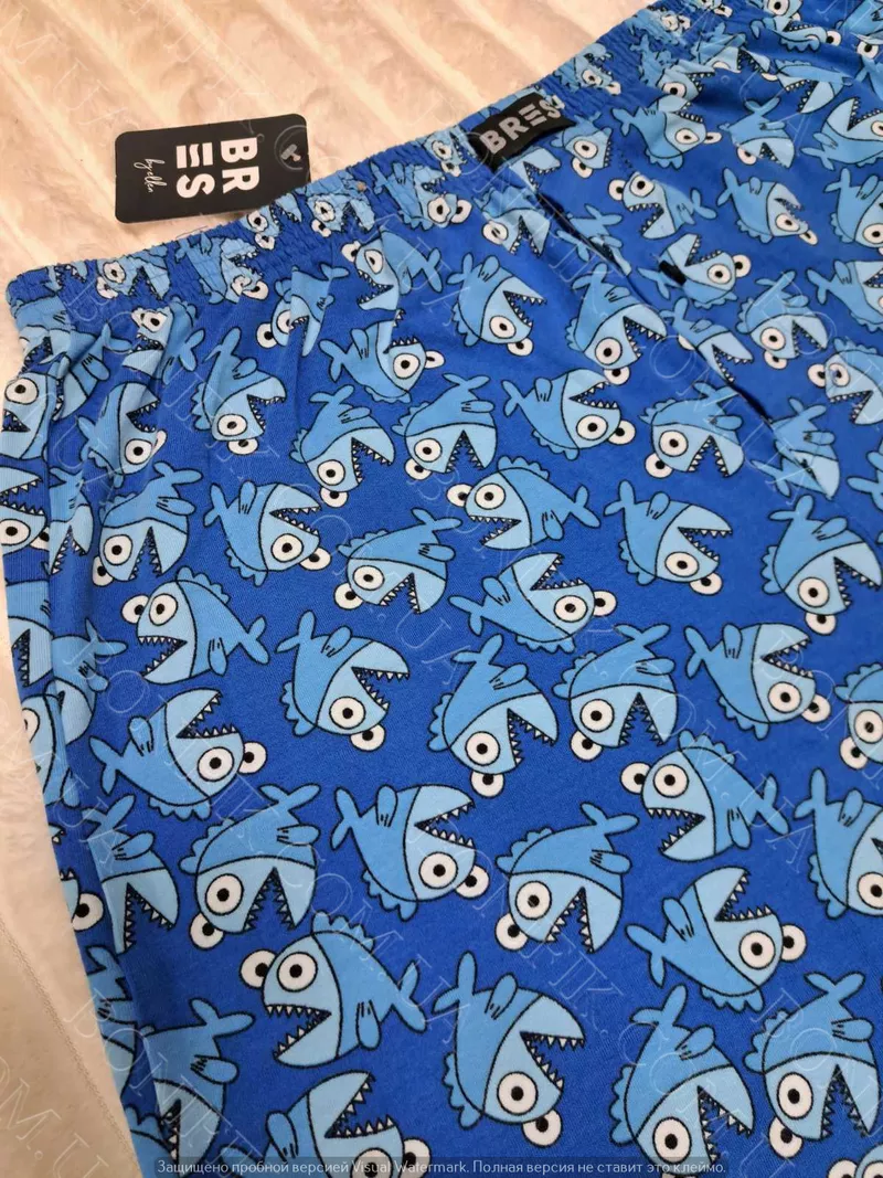 Чоловічі сімейні труси BRES «Crazy Shark» (арт. MBXK 307/01/126) 4