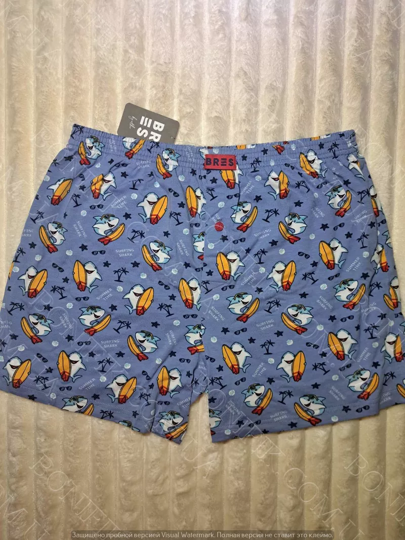 Чоловічі батальні труси з малюнком (арт. MBXK 307/01/131) 4