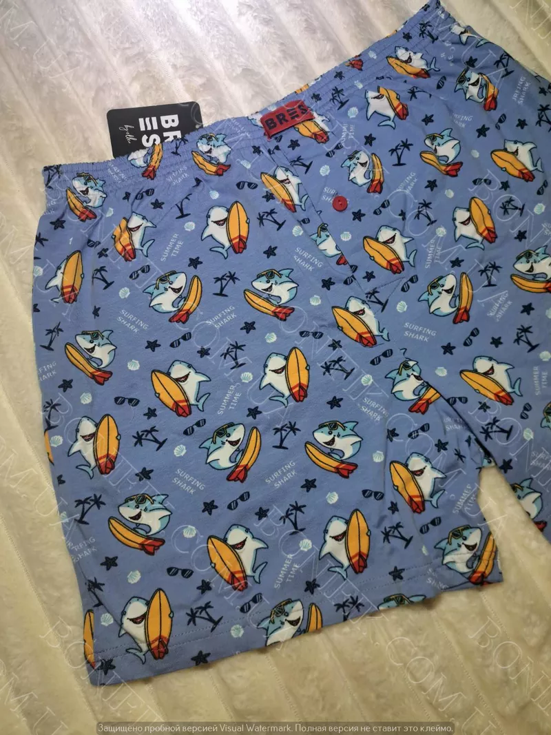 Чоловічі батальні труси з малюнком (арт. MBXK 307/01/131) 3