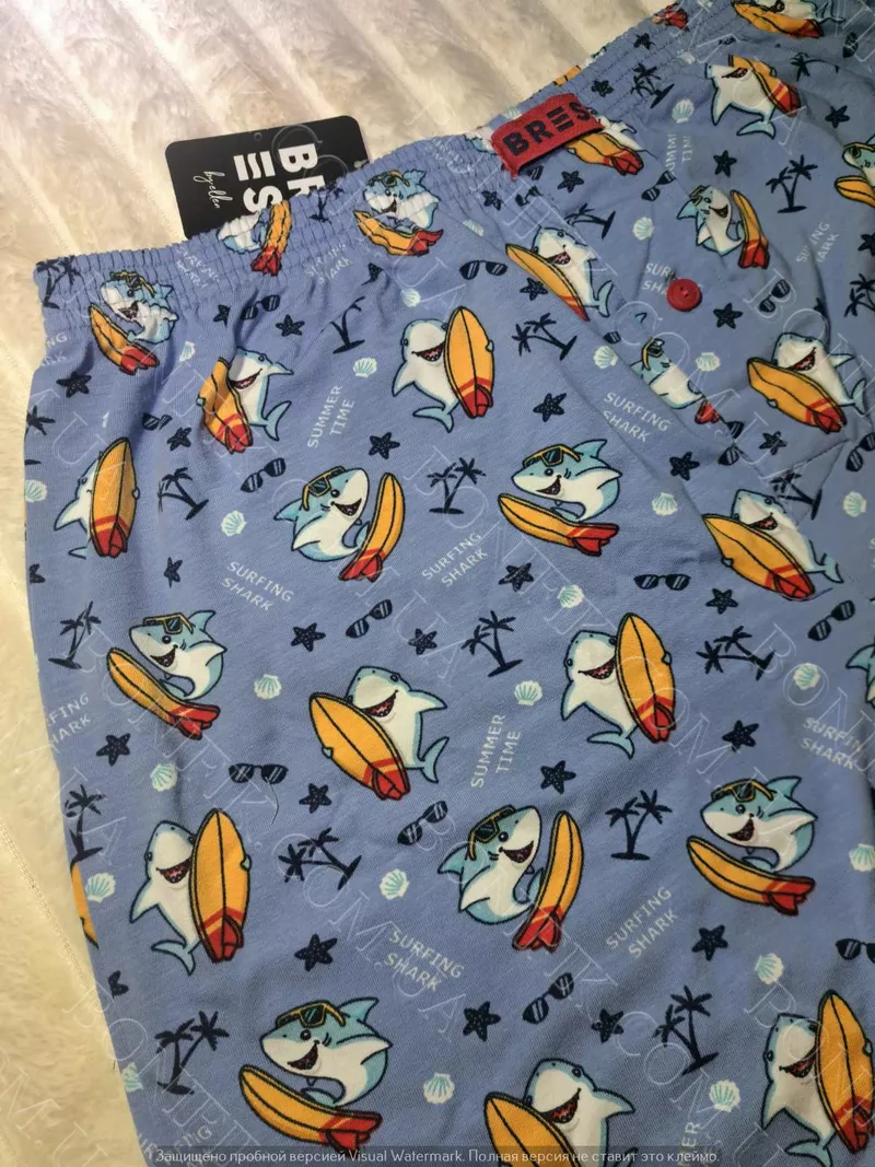 Чоловічі батальні труси з малюнком (арт. MBXK 307/01/131) 2