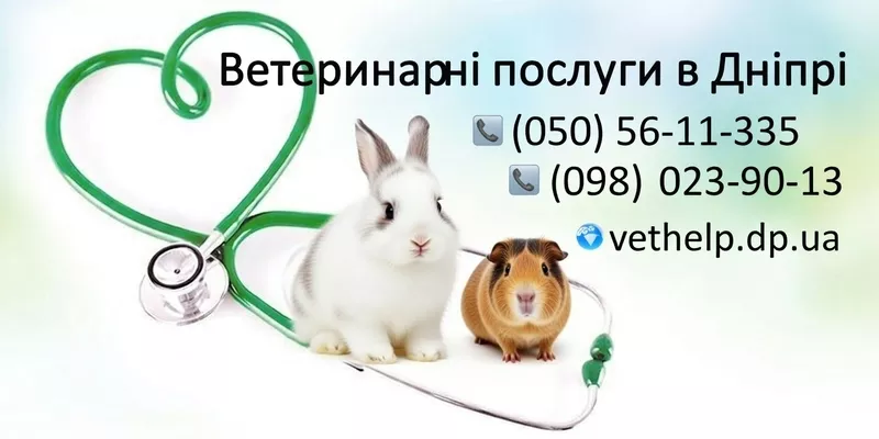 Ветеринарна допомога Дніпро