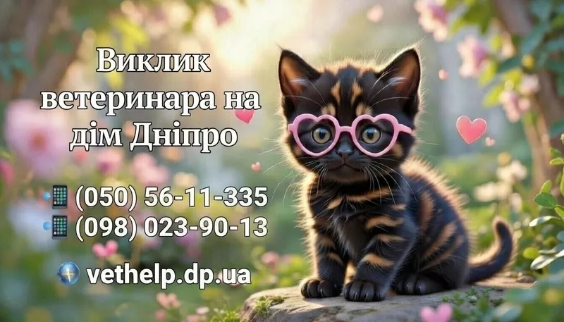 Ветеринарна допомога Дніпро 3