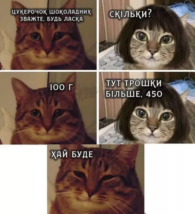 Ветеринарна допомога Дніпро 5