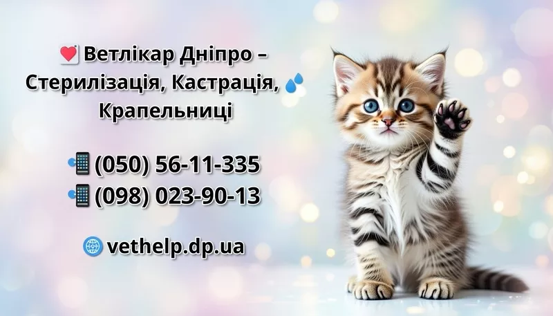 Ветеринарна допомога Дніпро 2