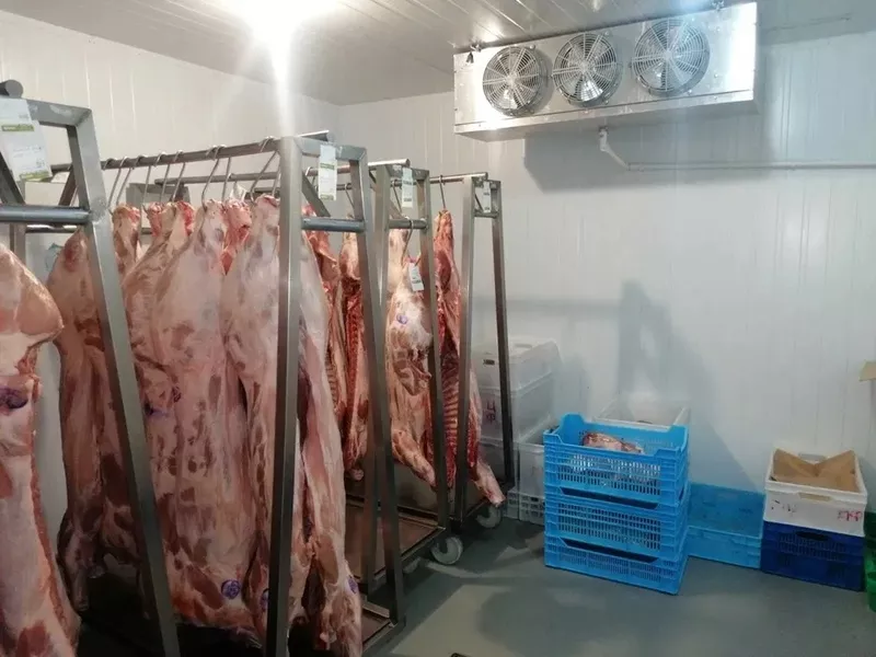 Морозильна камера - Шокова заморозка ковбас, м'яса, сирів ( Під ключ) 2