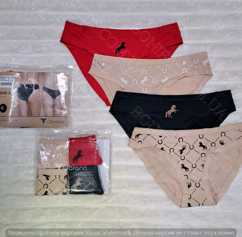 Жіночі кольорові трусики-сліп (4 шт./уп.) 