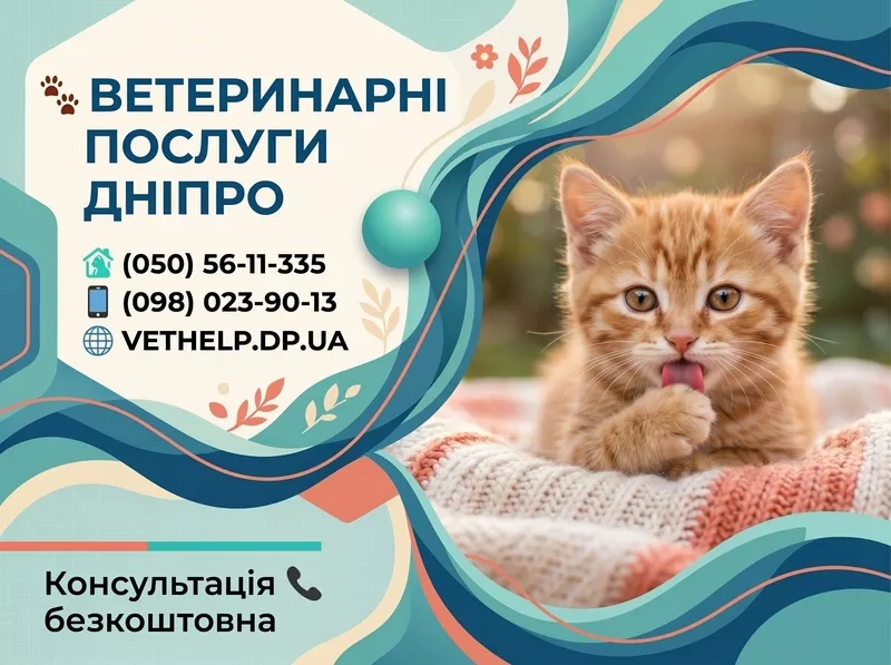Ветврач на дом Днепр – Осмотр,  Уколы,  Кастрация